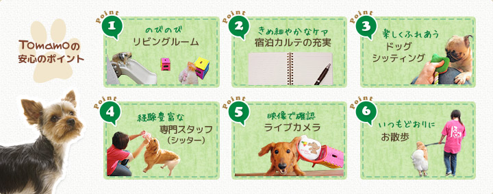 トマモの安心のポイント